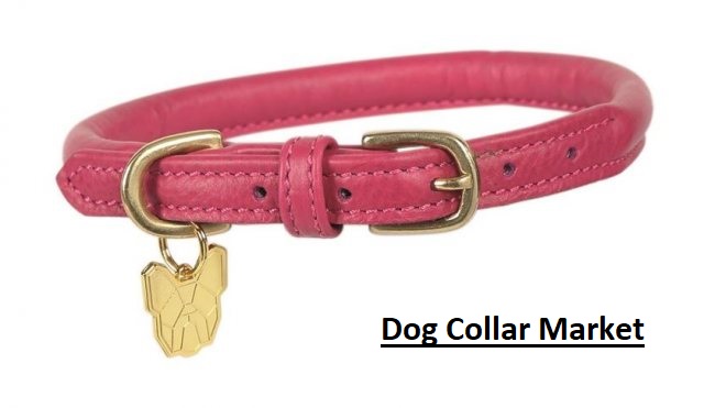 Dog Collar Market