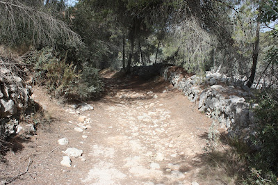 L'ARBOÇ-LA COSTETA-LA PEDRERA, camí entre la pedrera i La Gornal