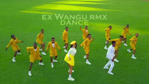 DanceVIDEO | Hamisa Mobetto X Seneta – Ex wangu RMX