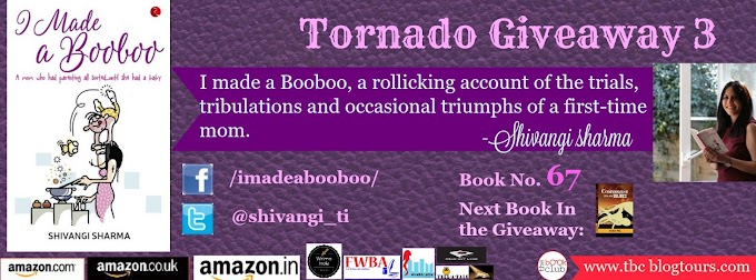 Tornado Giveaway 3: Book No. 67: I Made a Booboo: A mom who had parenting all sorted...until she had a baby by Shivangi Sharma