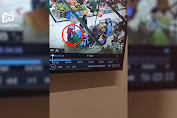 Emak-Emak Curi Daging Ayam di Pasar Besar Ngawi Terekam CCTV