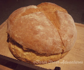 Australian Damper Loaf