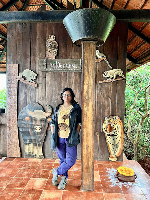 Wildernest Nature Resort