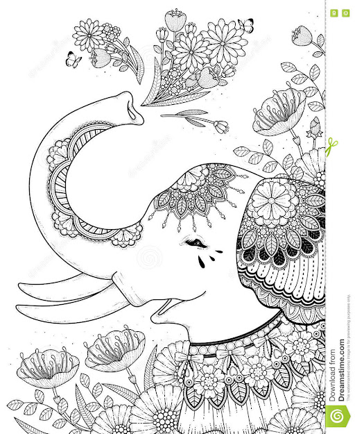 Gorgeous Elephant Coloring Page
