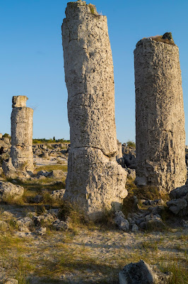 Stone forest Varna Pobiti Kamani