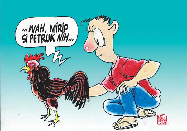  Gambar Animasi Ayam Jago Psht