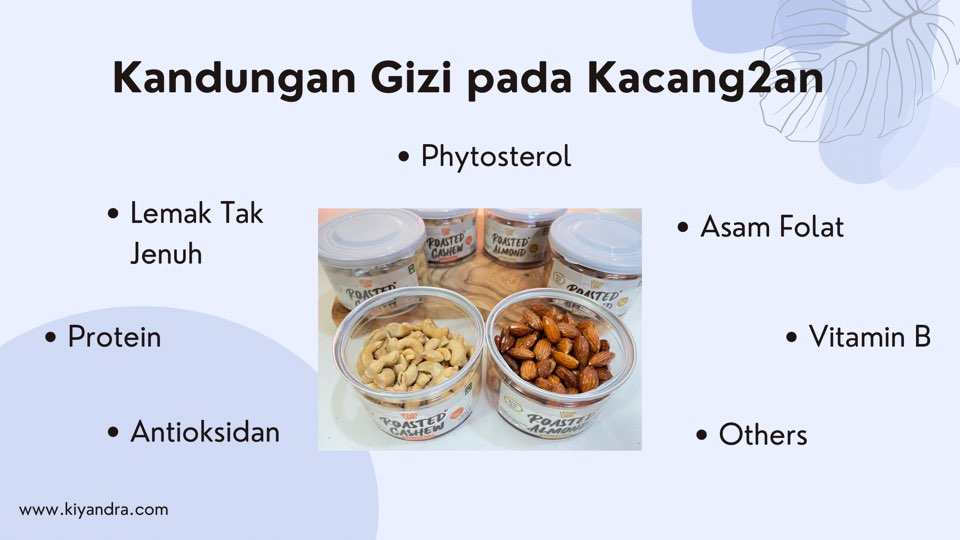 Kandungan Gizi pada kacang untuk kolesterol tinggi