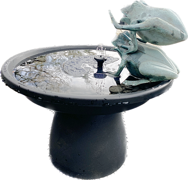 fountain with frogs