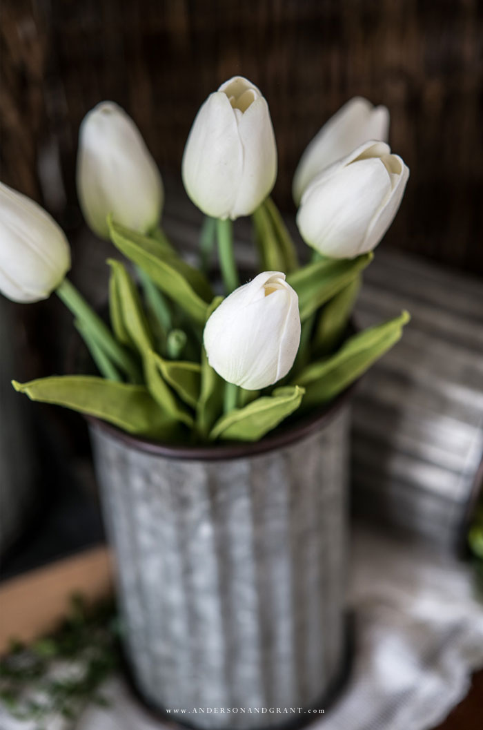 White tulips displayed in tin vase