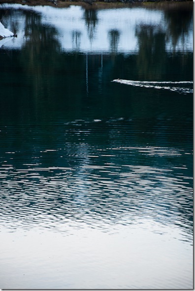 Gold Creek-13