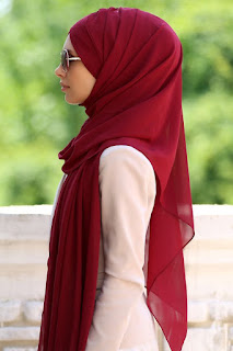 the Beauty of the Hijab Modesty