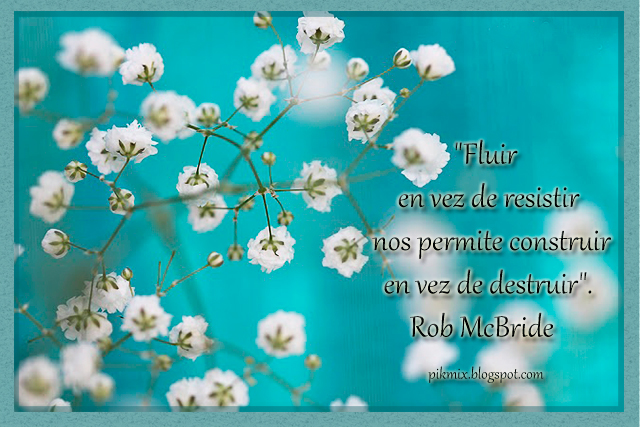 Fluir en vez de resistir • Imagen con Frase • Flores blancas