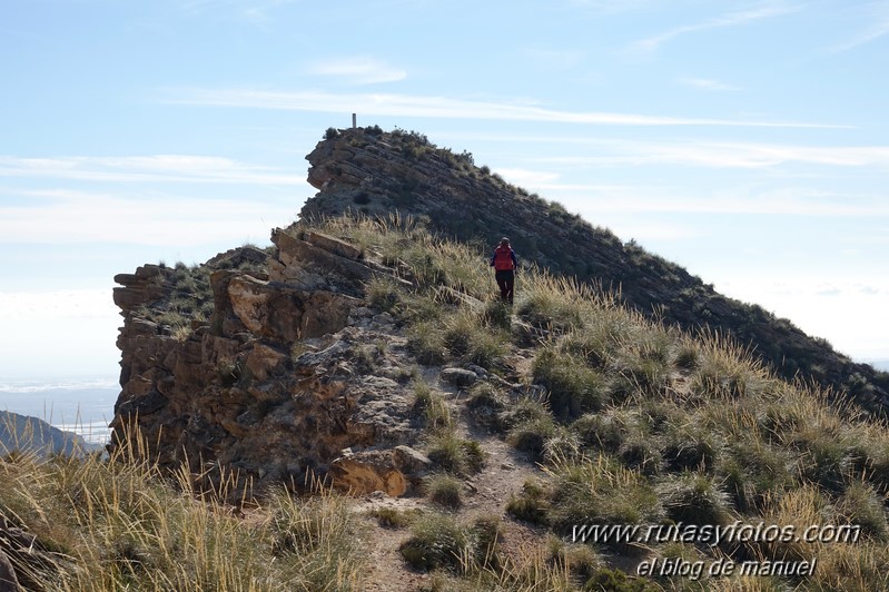 Cerro Alfaro