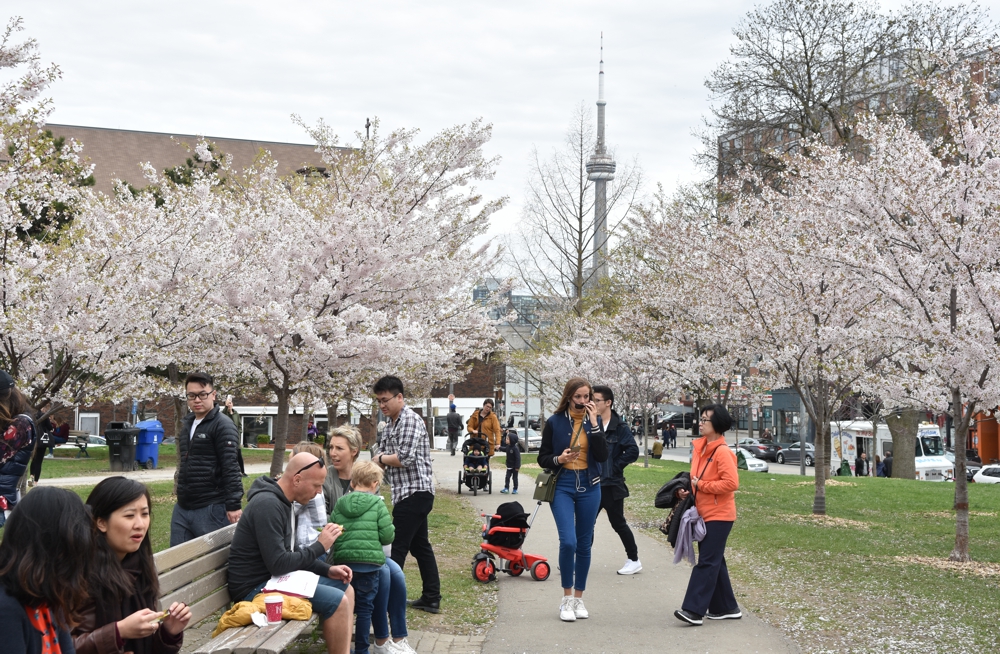 Trinity Bellwoods Park Events