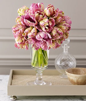 tulips