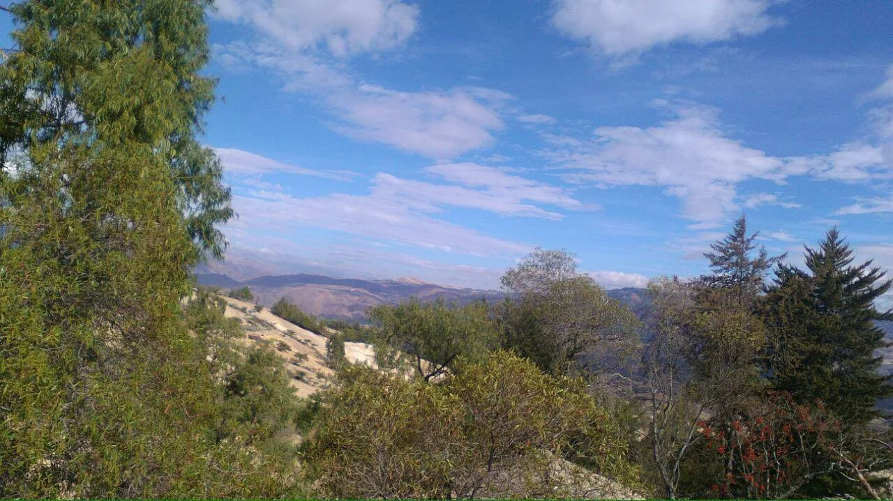 Verano total en nuestra tierra