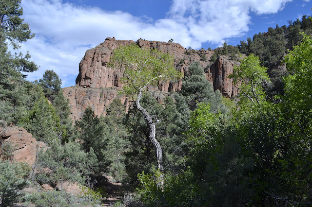 back to narrow with cliffs