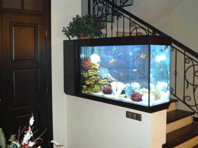  Home  Interior Gallery Fish Aquarium  Ideas  and Designs  