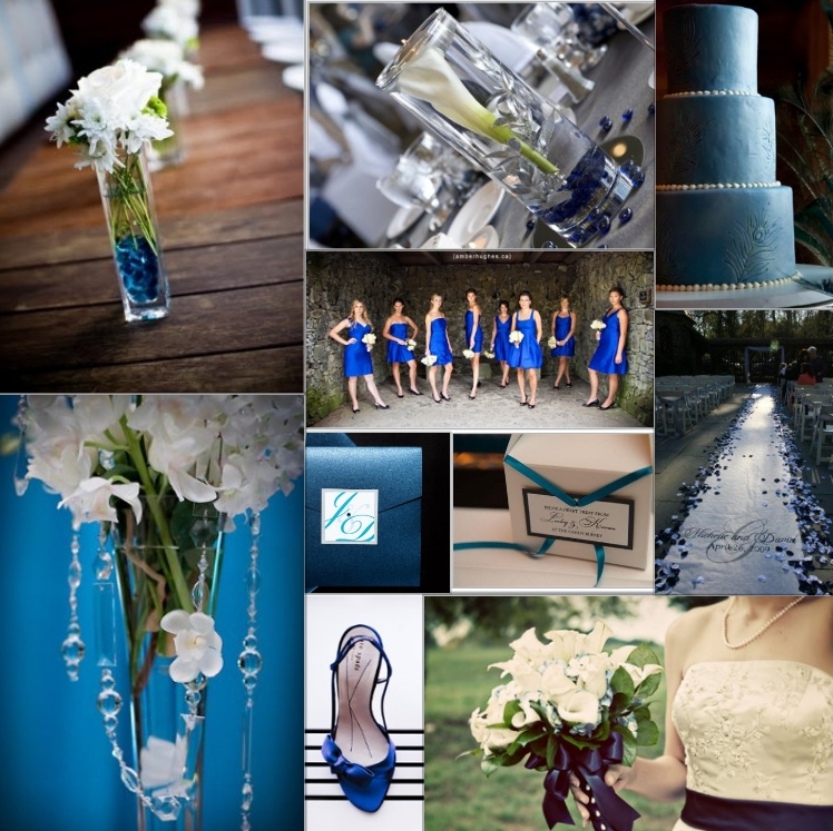  a Wedding Invitation Challenge Her colors are Sapphire Blue Black 
