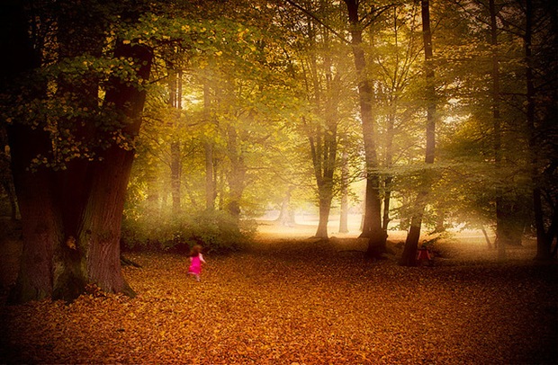 landscape ideas perth Amazing Autumn Photography | 620 x 406