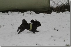 IMG_1876