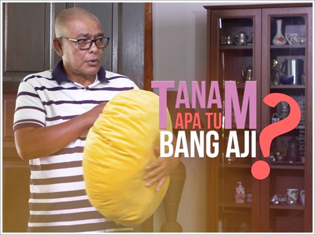 Tanam Apa Tu Bang Aji (TV3 ) | Sinopsis Telefilem