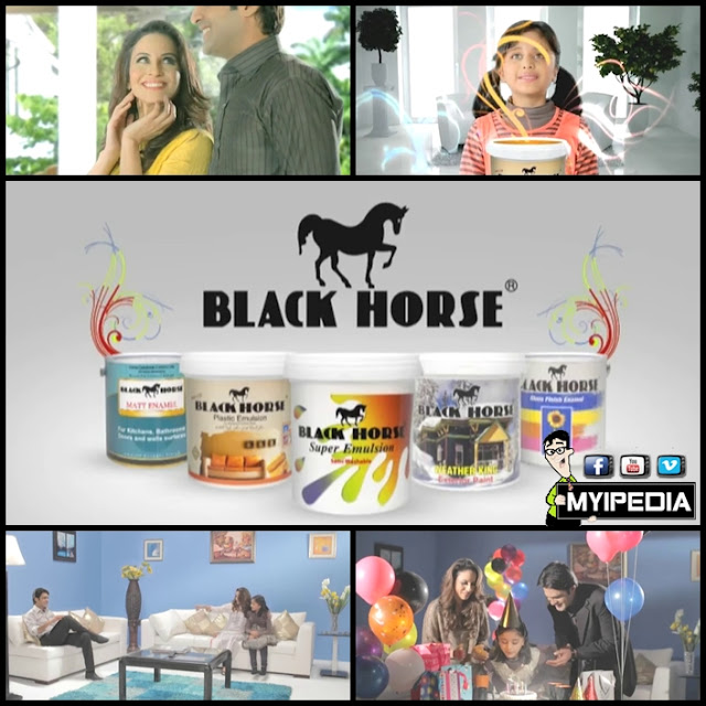 black horse paint tvc 2013