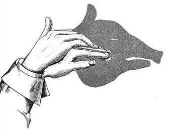 Hand Shadow Illusions