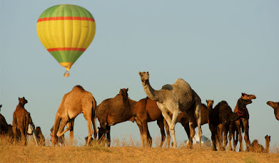 Hot Air Balloon Ride, Pushkar