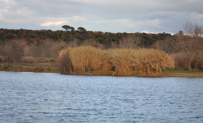 Plan d'eau Massillargues-attuech