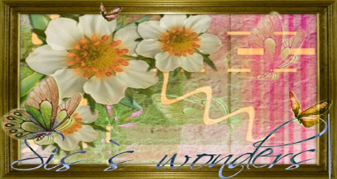 Sis's wonders