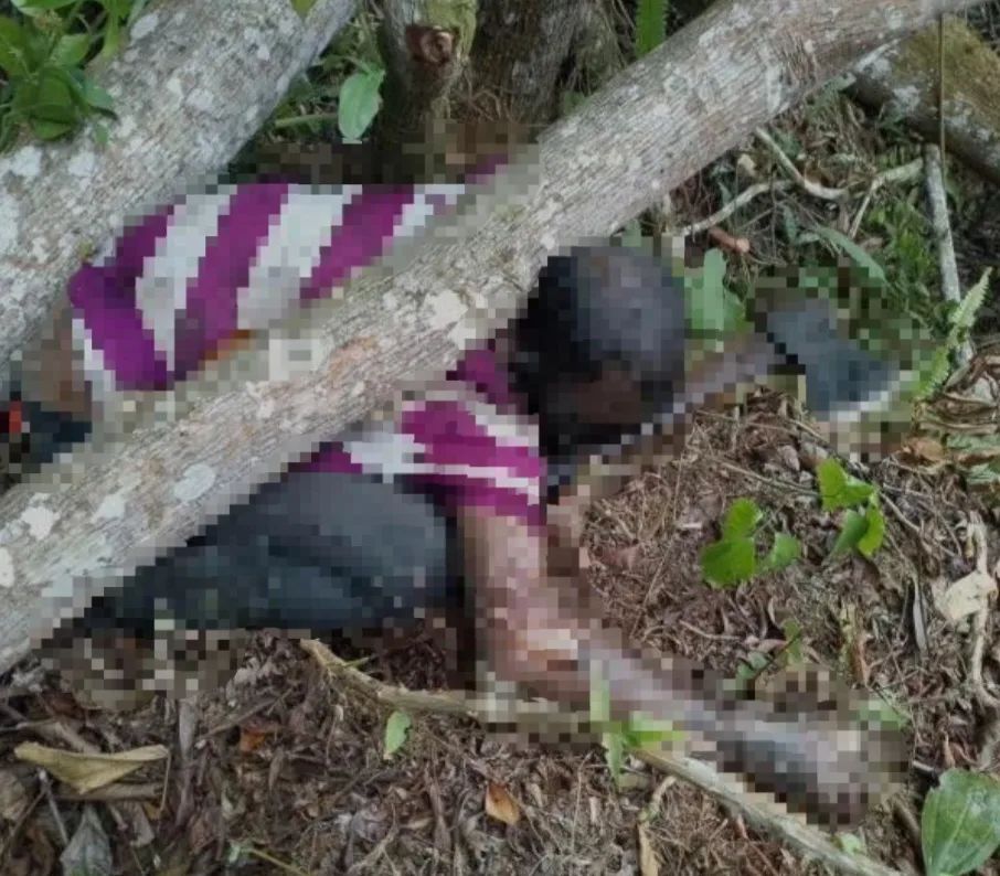 Agricultor de Tucaní murió al caerle una rama en la cabeza