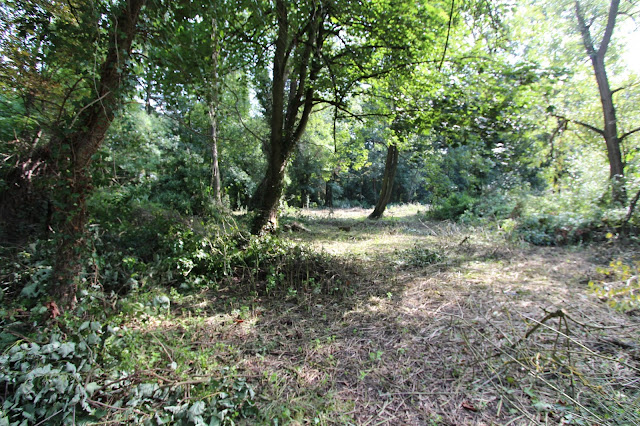 Thames Riverside Development Land - Near Windsor - Part Of the Area Has Been Cleared