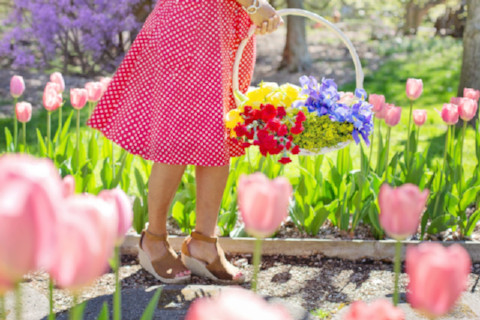 garden-gardening-flowers-spring