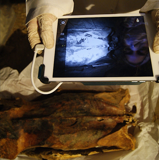 Four years later on its regain inwards Deir El For You Information - 3,000-year-old tattooed mummy belonged to laissez passer on official or elite woman, studies reveal