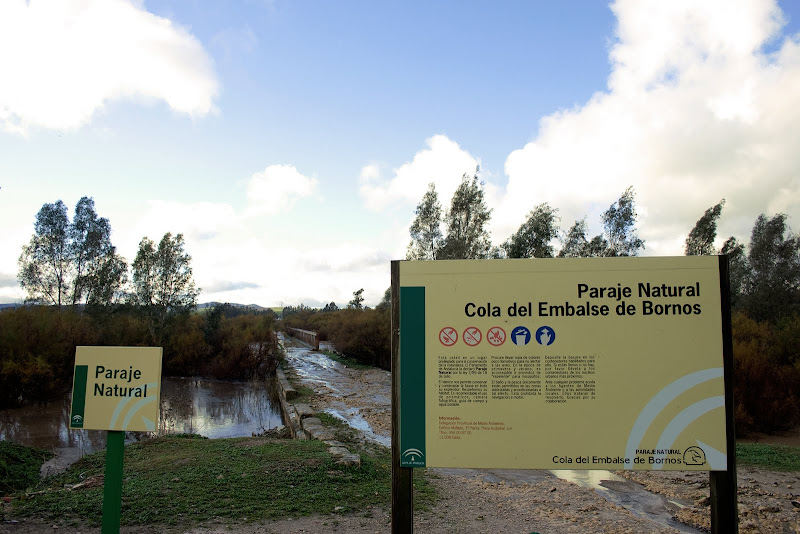 Colas del Embalse de Bornos