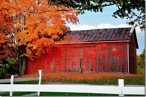 autumn