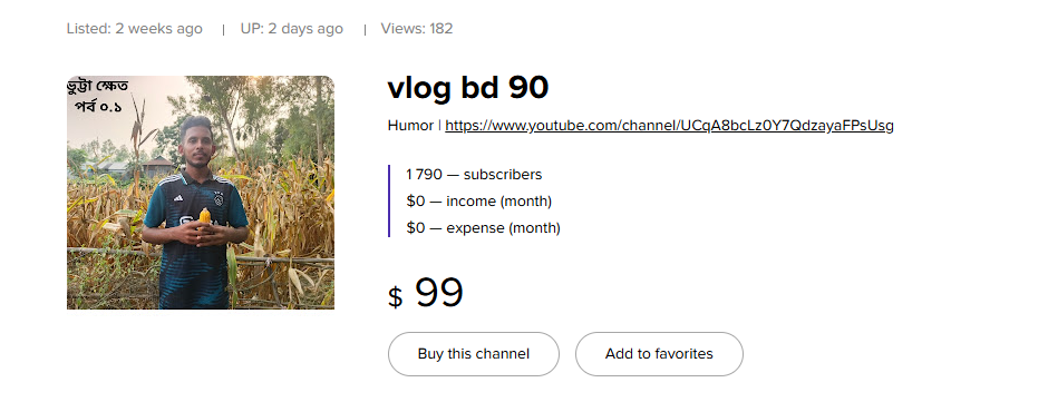 Buy a YouTube Channel for $100: Best Deals and Opportunities LIST
