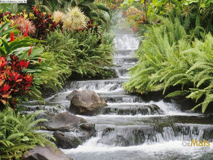 Cachoeira