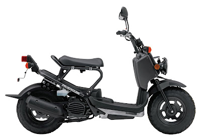 2009 Honda Ruckus NPS50