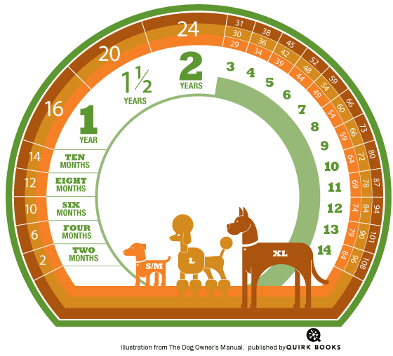 dog breeds chart. Use this chart to calculate