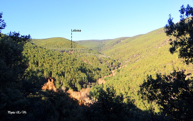 Dehesa. Jérez del Marquesado