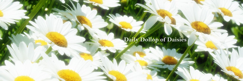 Daily Dollop of Daisies