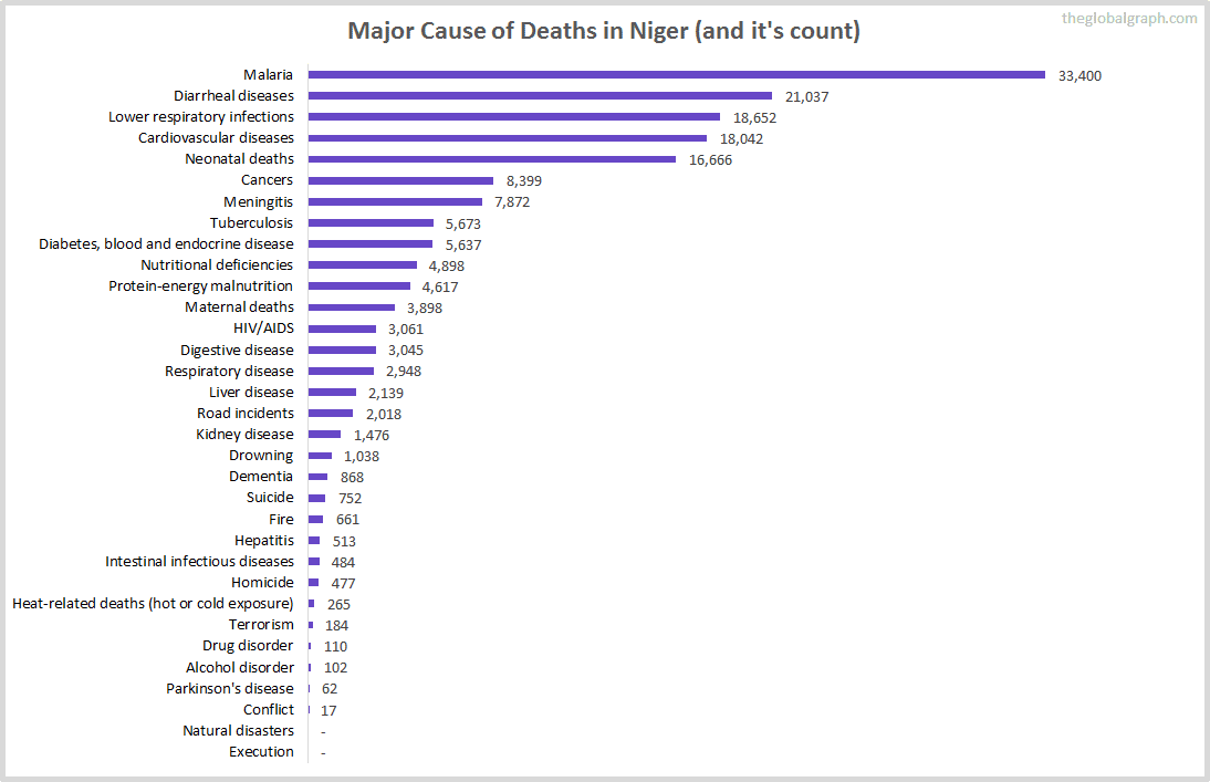 Major Cause of Deaths in Niger (and it's count)