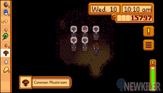 Cara Cepat Mendapatkan Uang di Game Stardew Valley