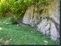 DSCN9291