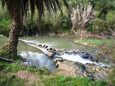 P1000682