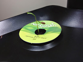 Win an #Aerogarden and grow fresh herbs indoors all year long! #gardening #ad