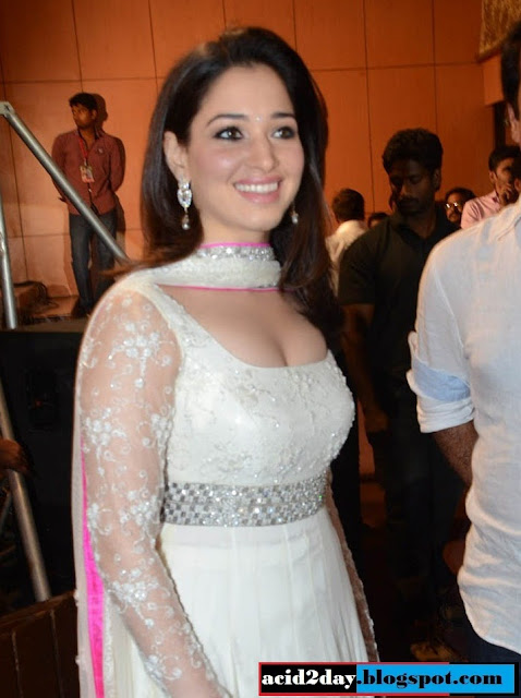 TAMANNA BHATIA HOT CLEAVAGE HIGH QUALITY IMAGES