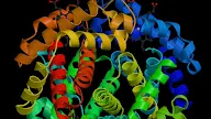 Structure Determines Function : Solved C10 4 A Principle Of Biology Is That Structure De Chegg Com : Check spelling or type a new query.